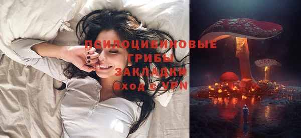 первитин Алексеевка